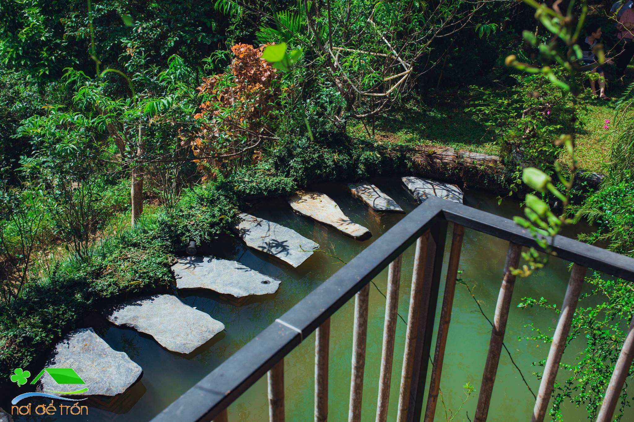 Hồ tại Nhà Suối Hòa Bình