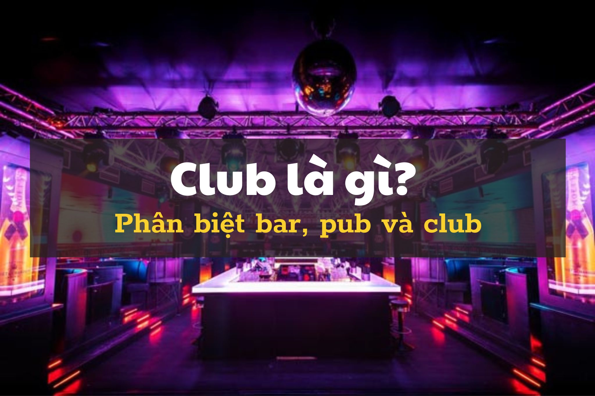 Club là gì? Tìm hiểu sự khác biệt giữa bar, pub và club | Kendesign