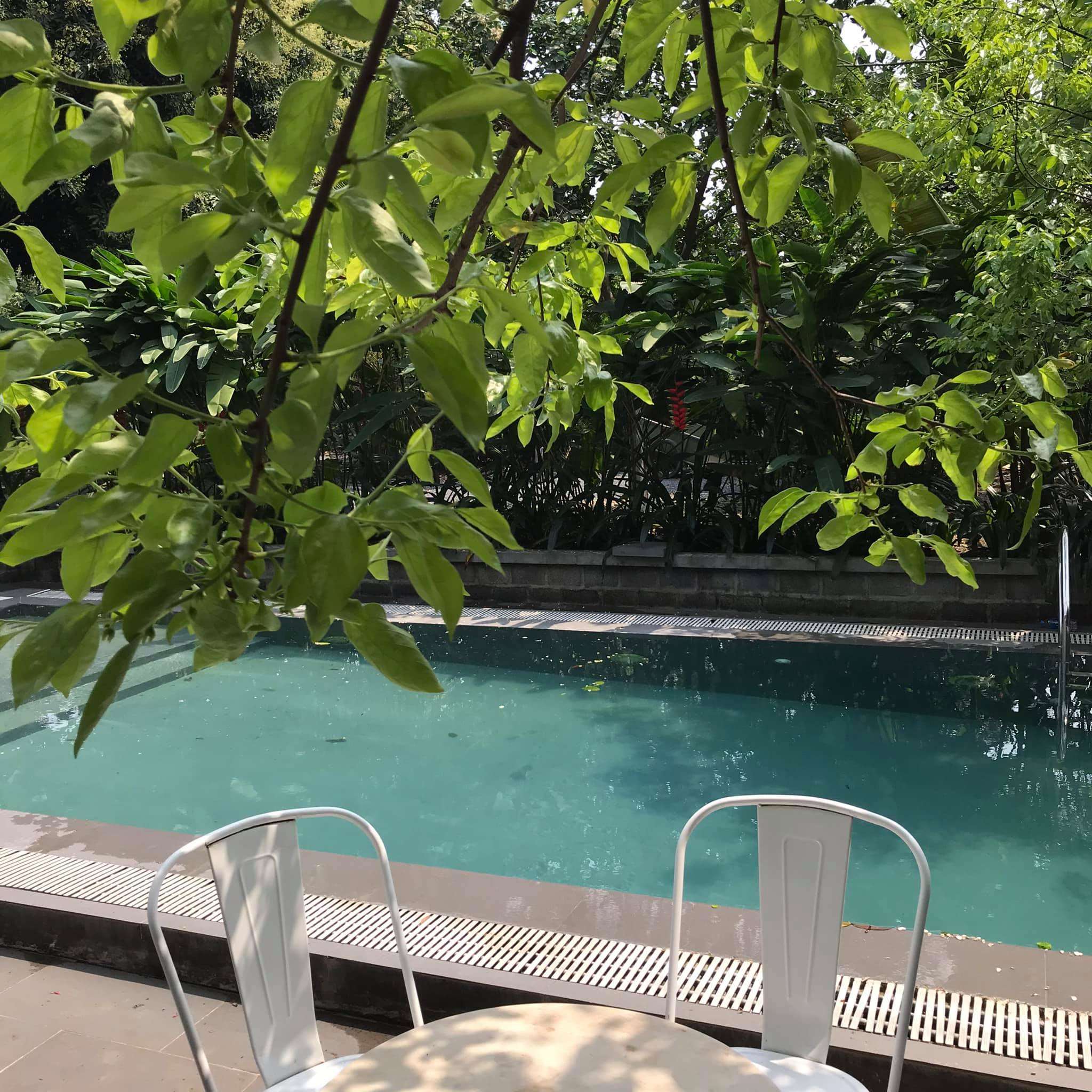 Bể bơi tại Giang House Homestay Hòa Bình