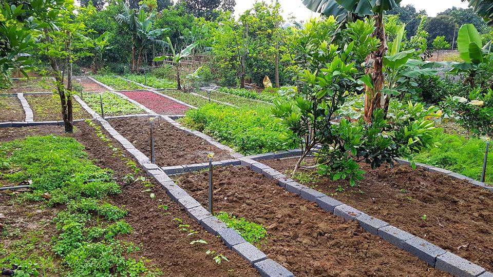 Không gian vườn tại Giang House Homestay Hòa Bình