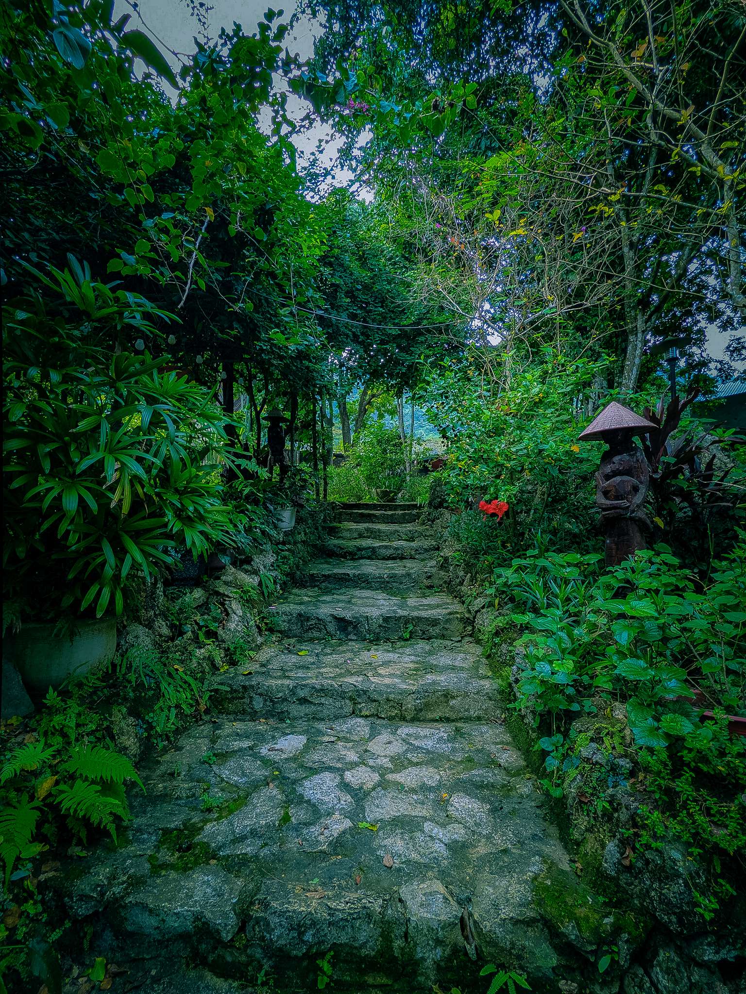 Khuôn viên trong Sunday Villa Hòa Bình