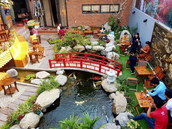 Top 5 quán cafe cá koi đẹp – độc – lạ khiến khách đến chẳng muốn về