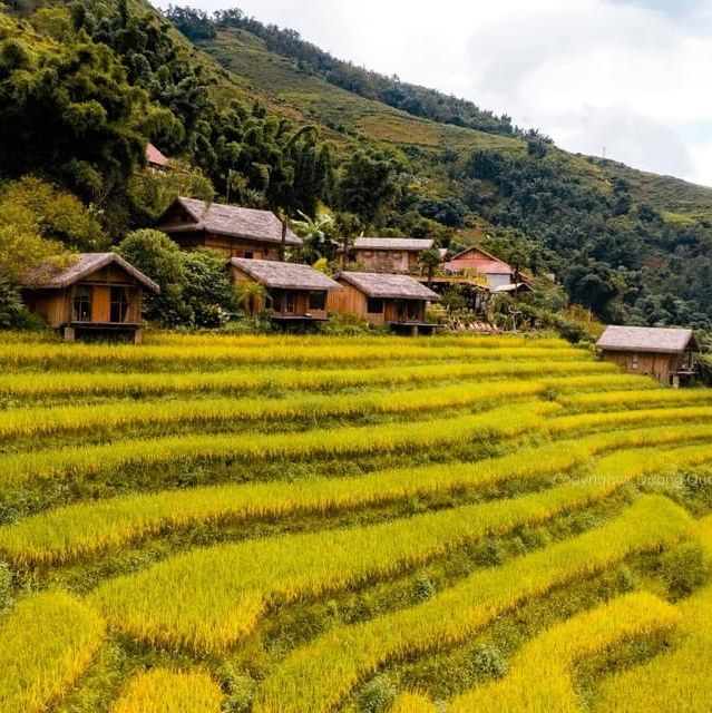 Các căn nhà tại Eco Palms House trên ruộng bậc thang