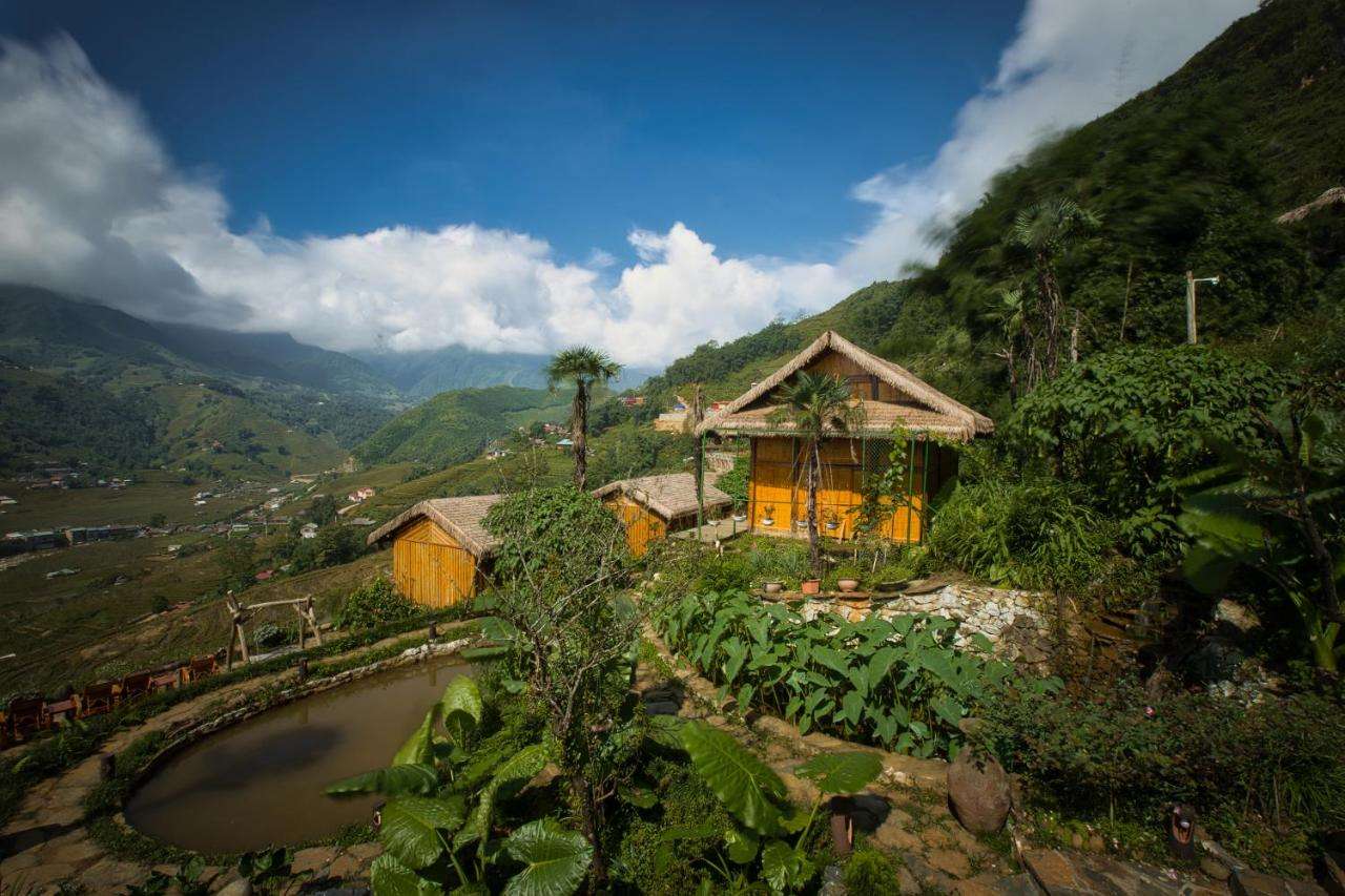 Cây xanh xung quanh Eco Palms House