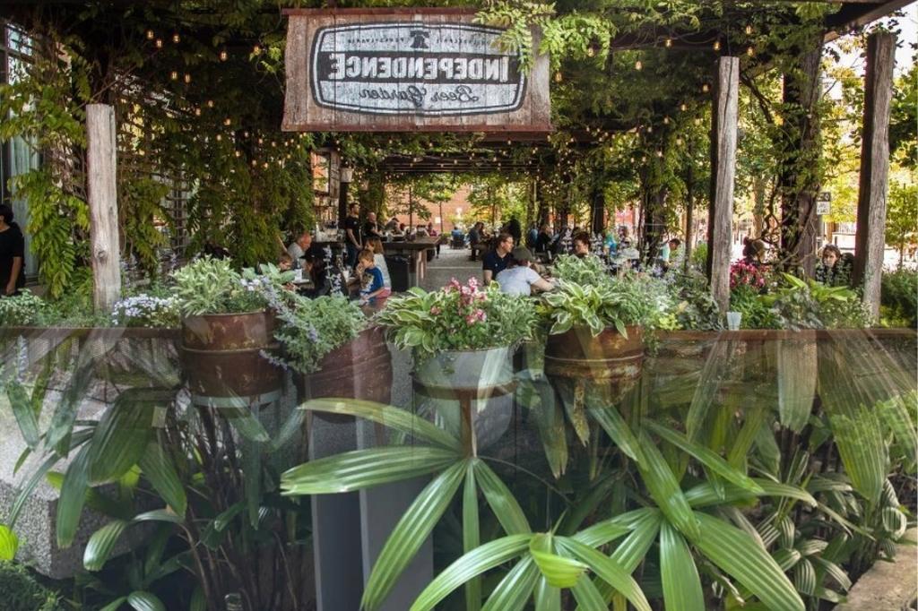 10 loại cây trồng cho quán beer sân vườn thư giãn