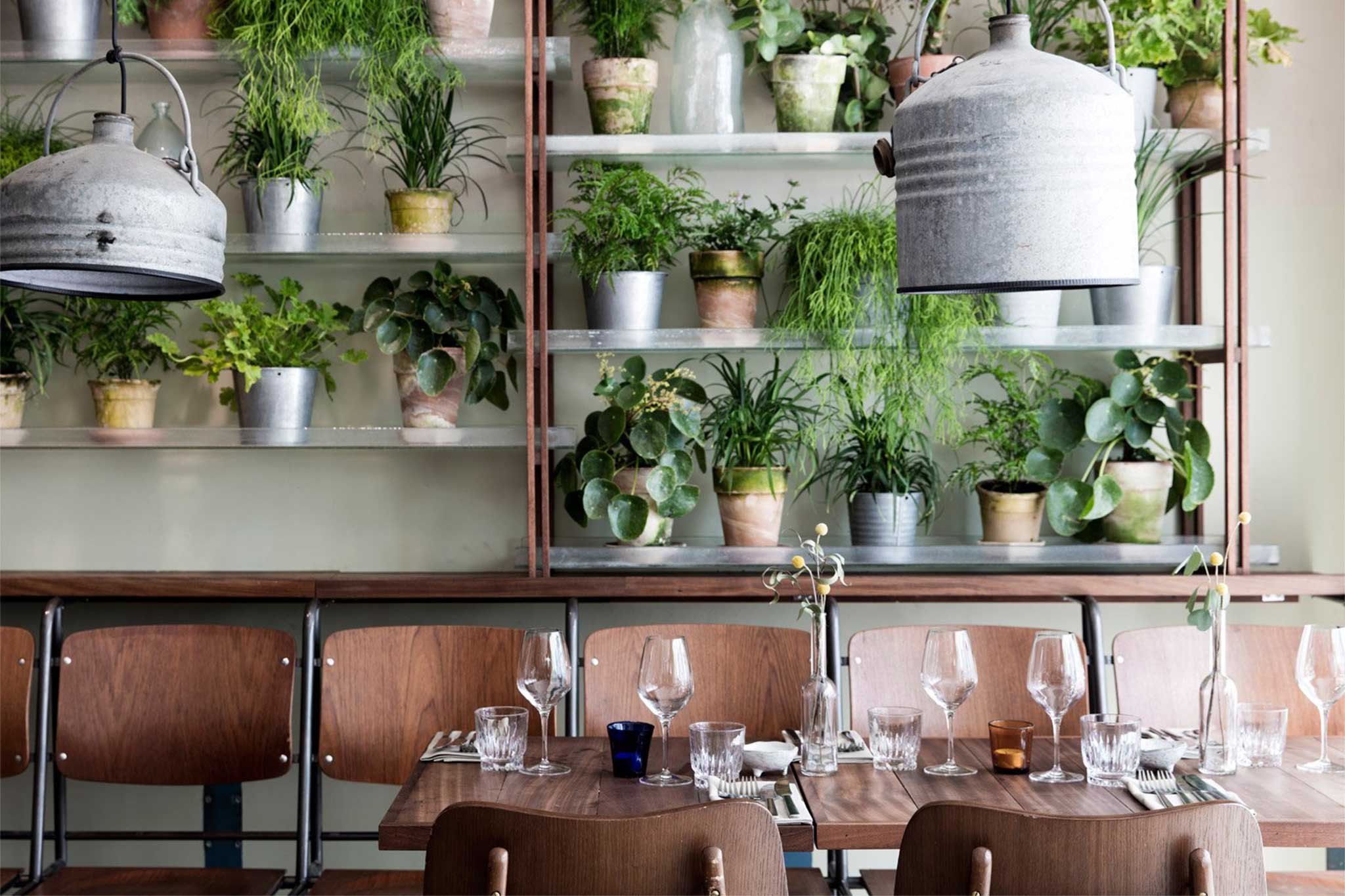 thien-nhien-nha-hang-phong-cach-Scandinavian