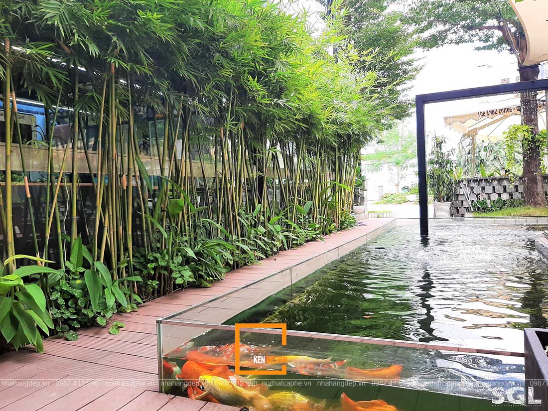 Thiết kế quán cafe cá Koi 