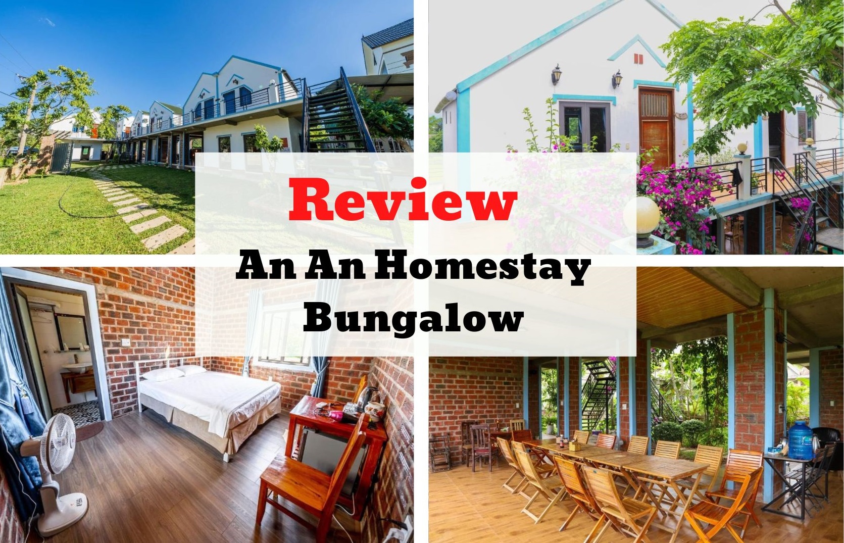 review for homestay essay