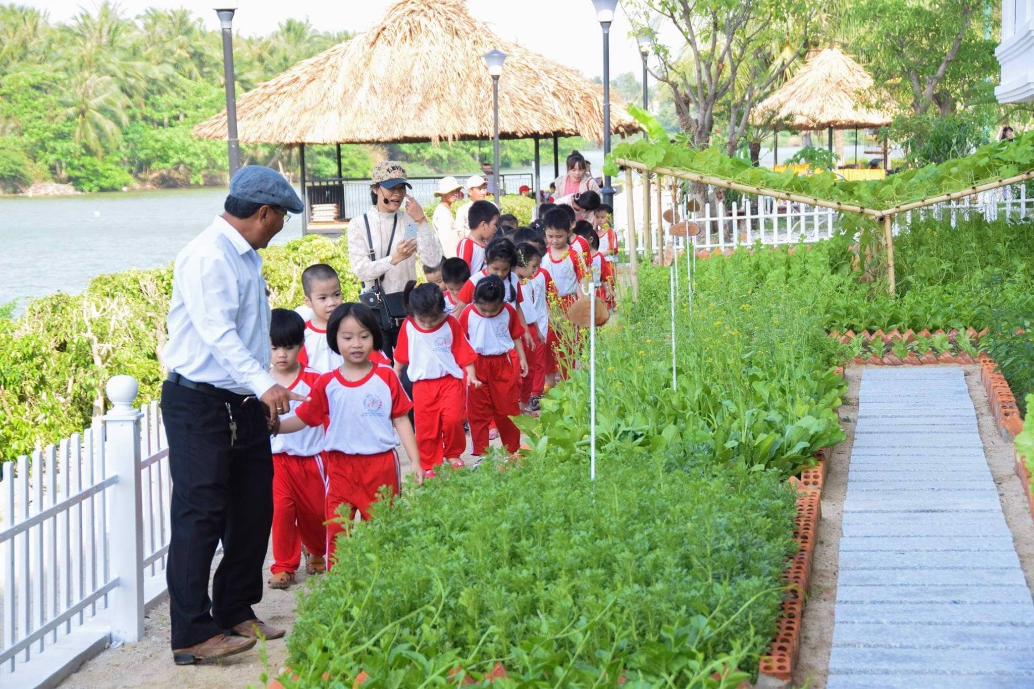 Vườn rau sạch Cham Oasis