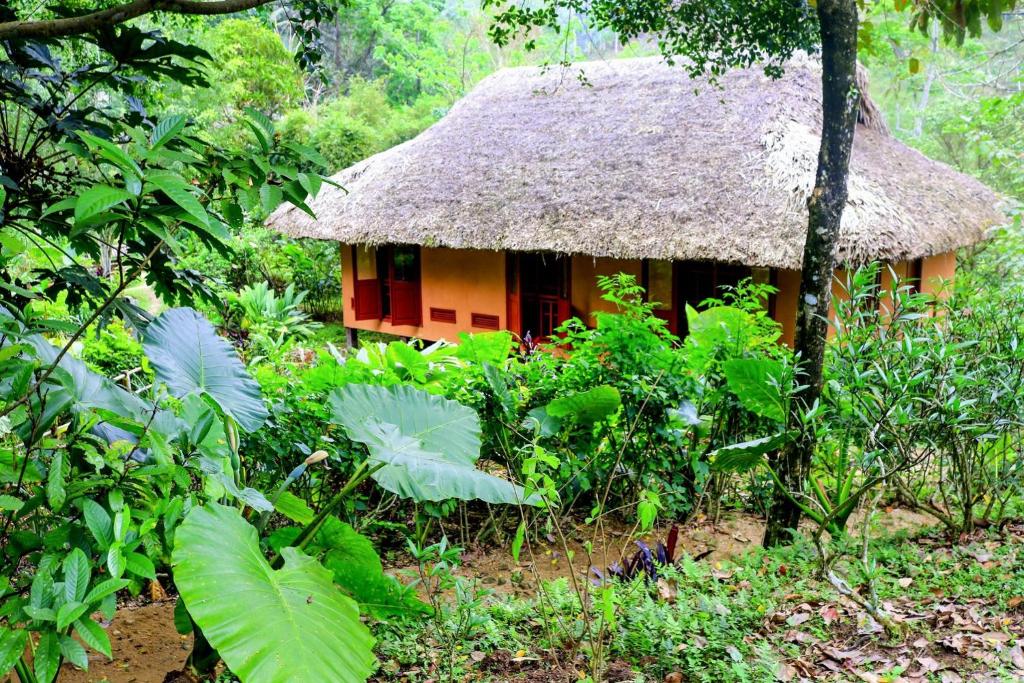 2. Phong cách thiết kế của Ecolodge Pan Hou Village