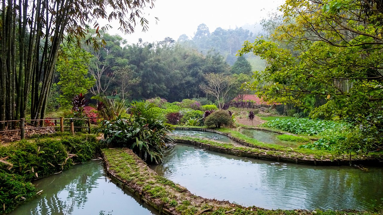 2. Phong cách thiết kế của Ecolodge Pan Hou Village