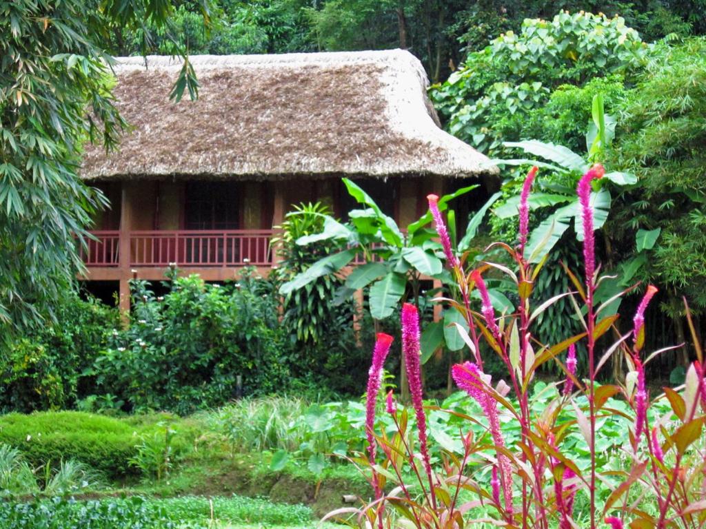 2. Phong cách thiết kế của Ecolodge Pan Hou Village