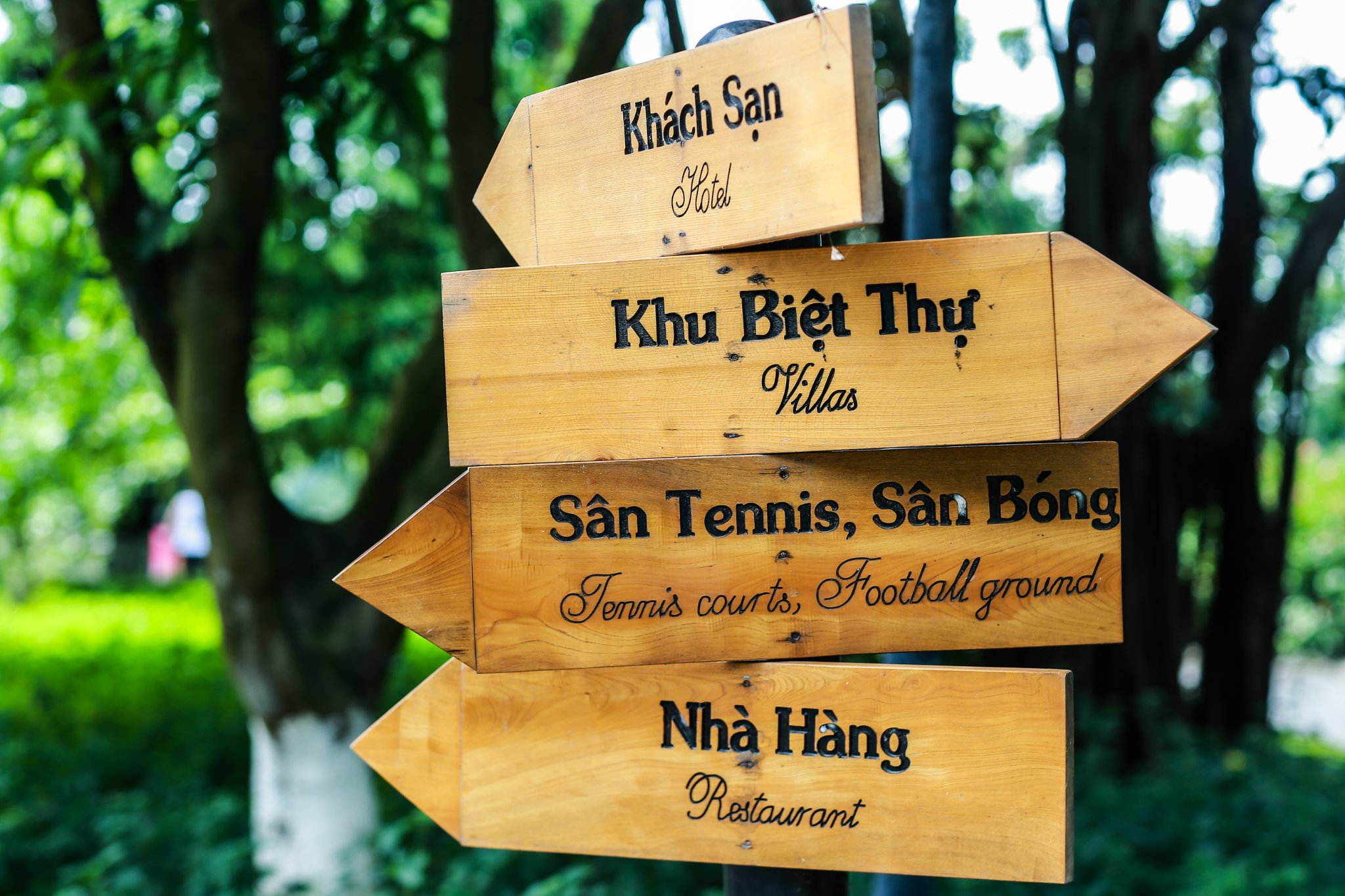 Review Sông Hồng Resort tổng quan