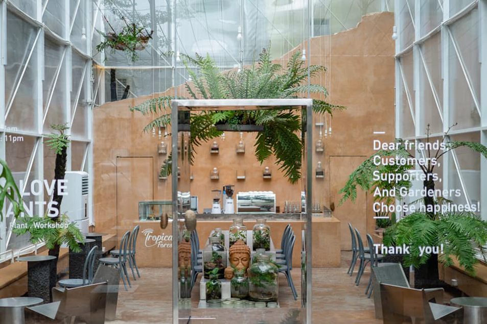 Mẫu thiết kế quán cafe Tropical Forest cơ sở Mai Hắc Đế