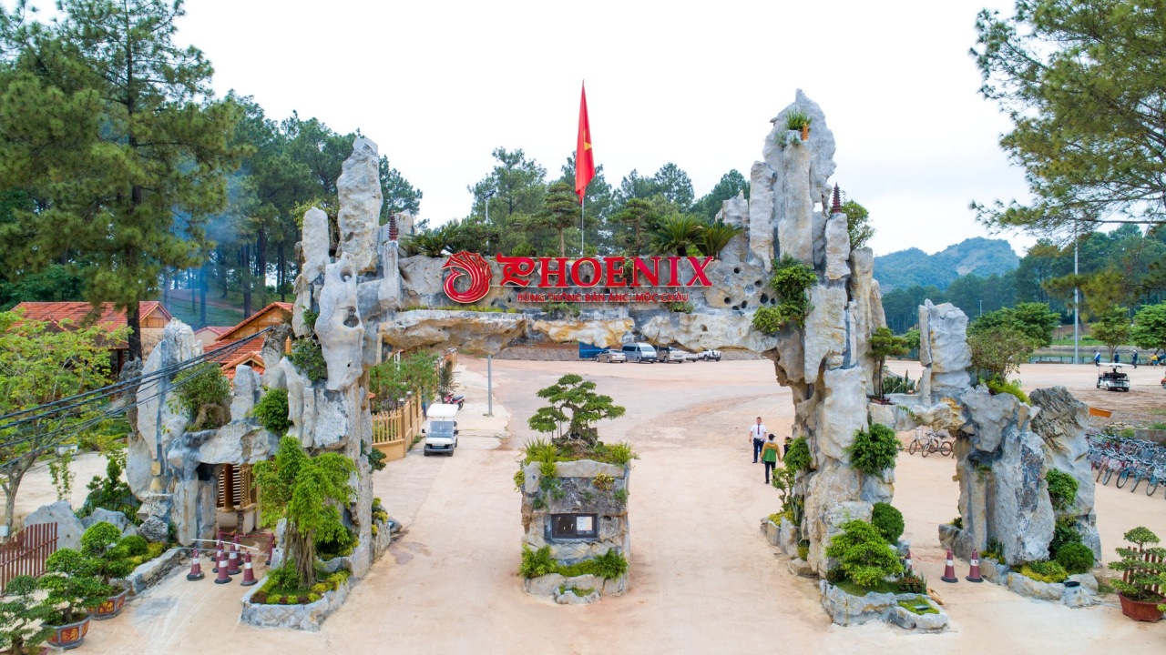 Review Phoenix Mộc Châu Resort