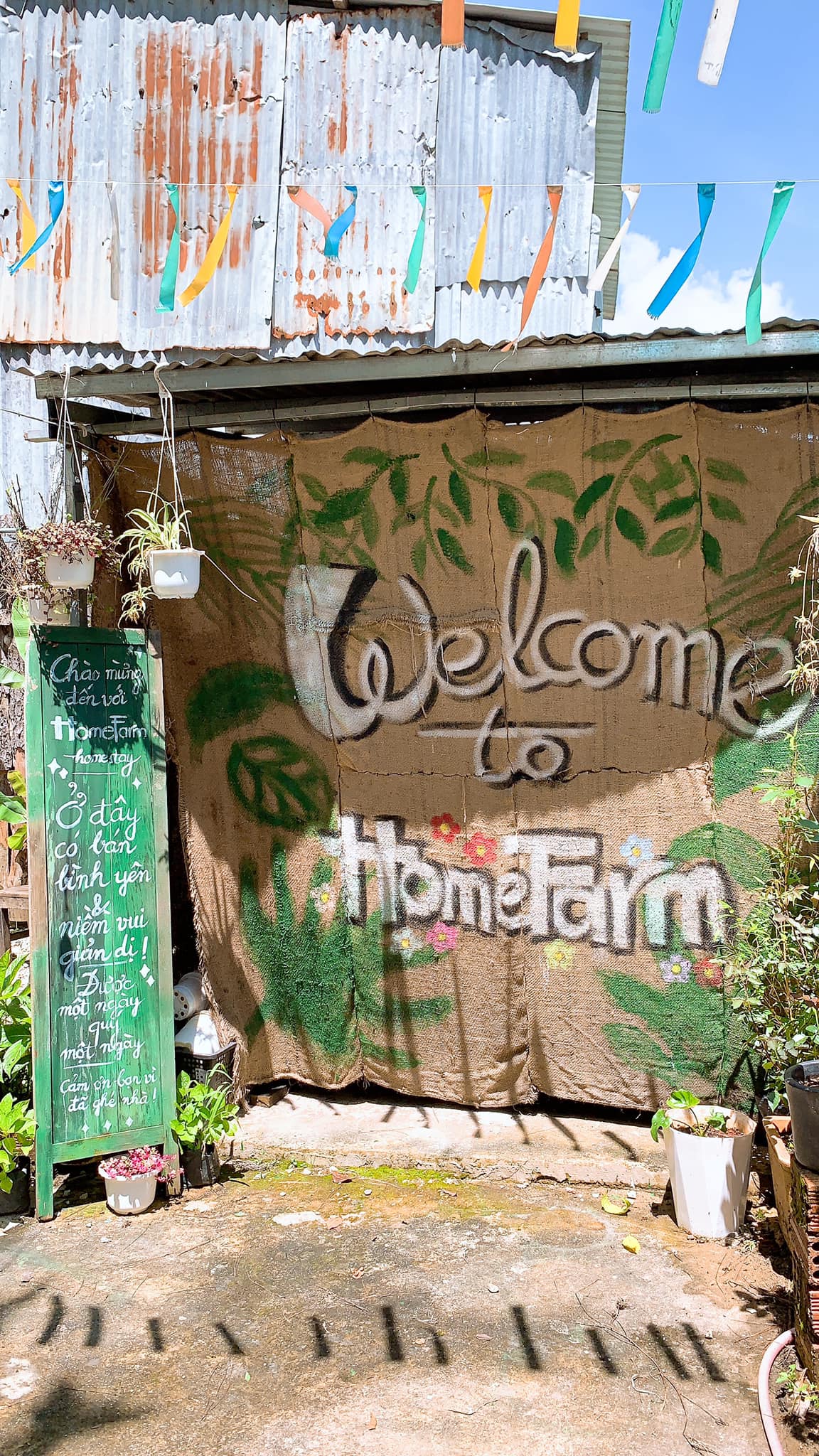 thiết kế homestay phong cách Bohemian homefarm