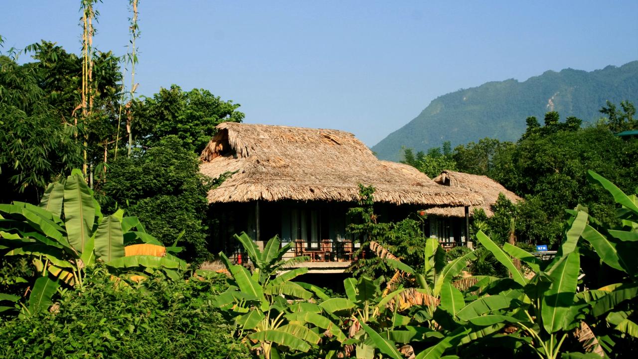 Bungalow deluxe pool view- nhà sàn