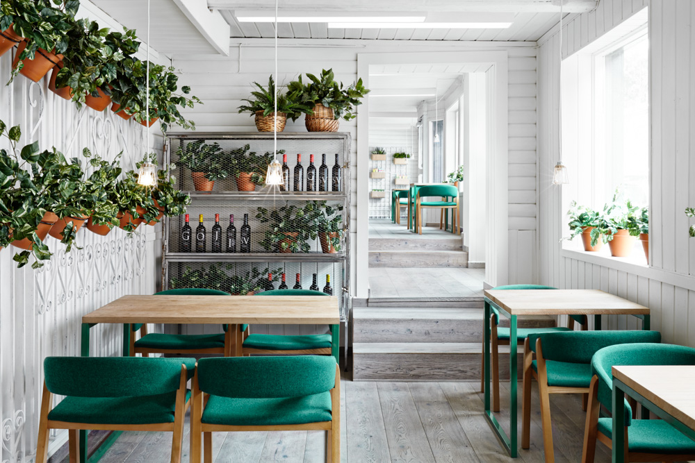 thiết kế quán cafe phong cách tropical