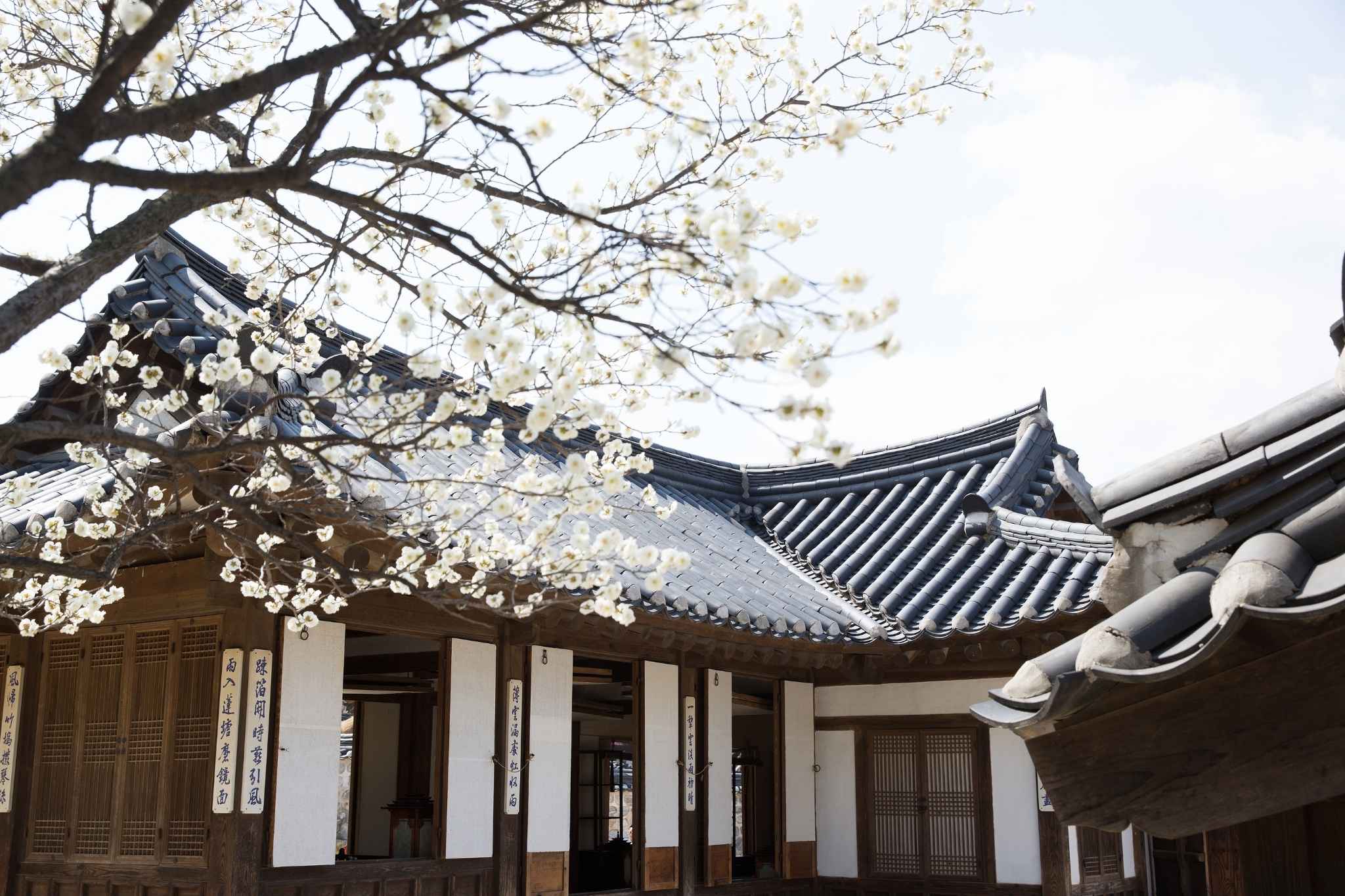  Hanok là kiến trúc nhà ở truyền thống của Hàn Quốc