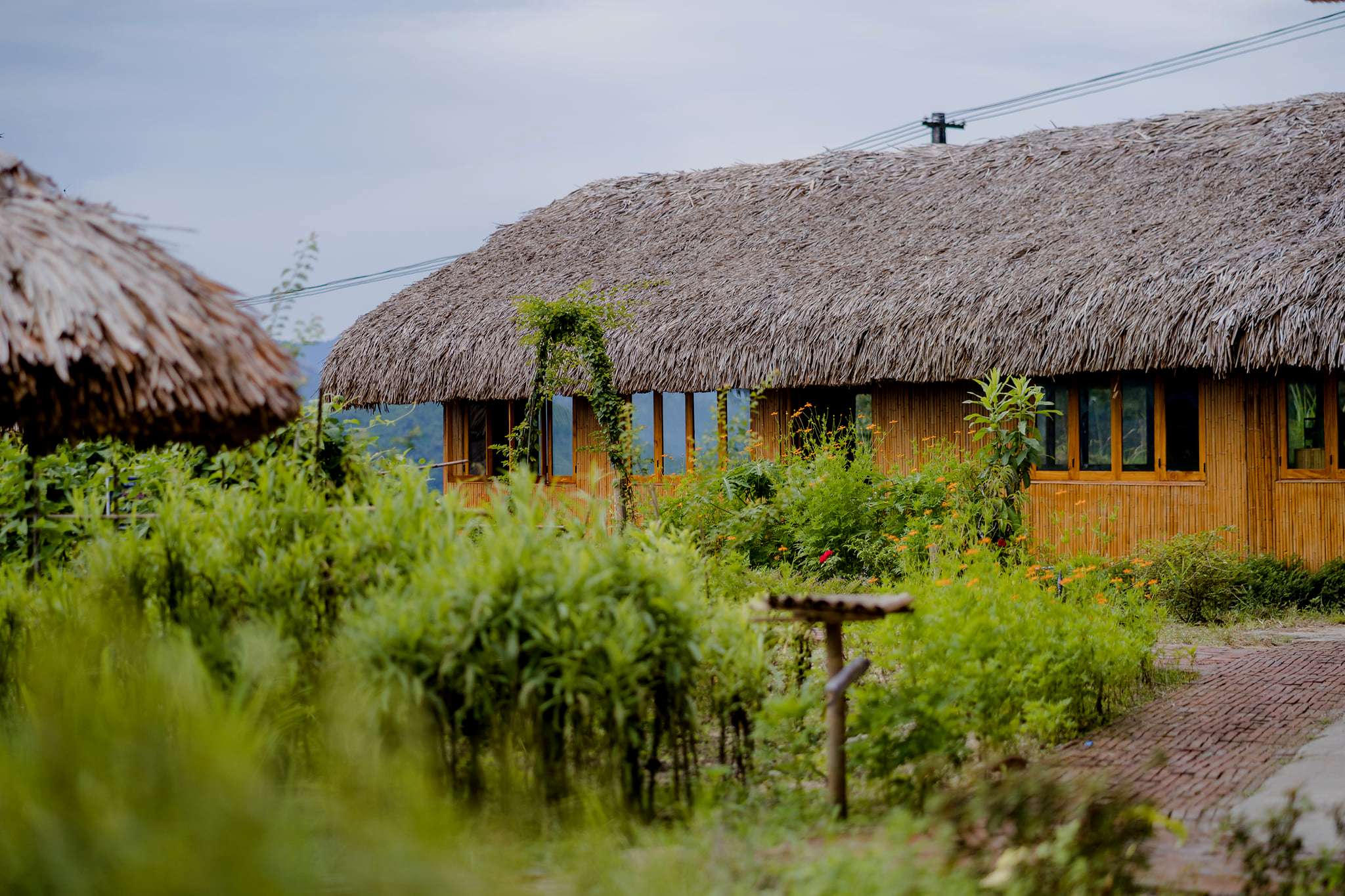 Không gian ngoài trời tại Hoàng Su Phì Lodge