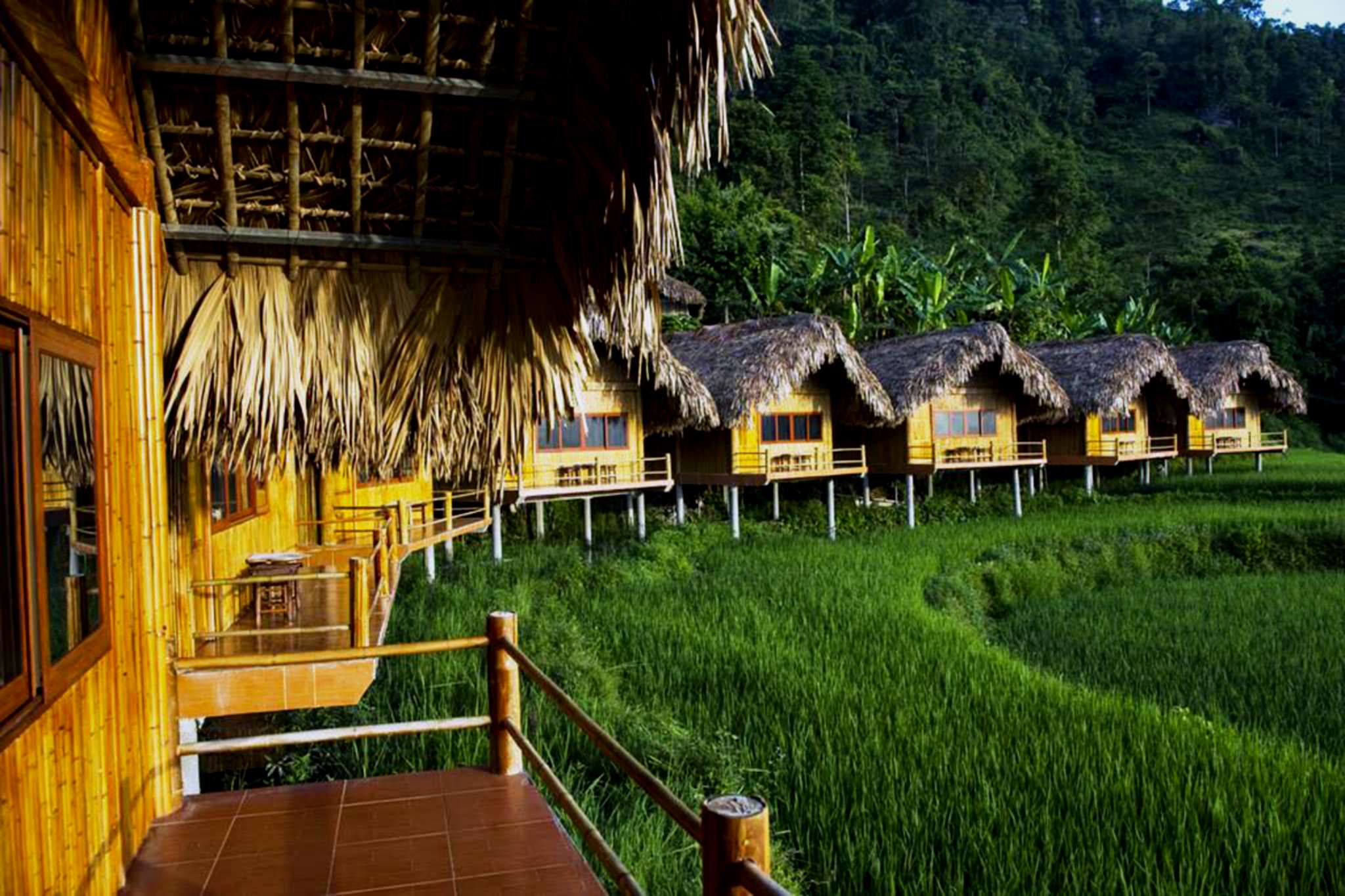quang cảnh xung quanh Hoàng Su Phì Lodge