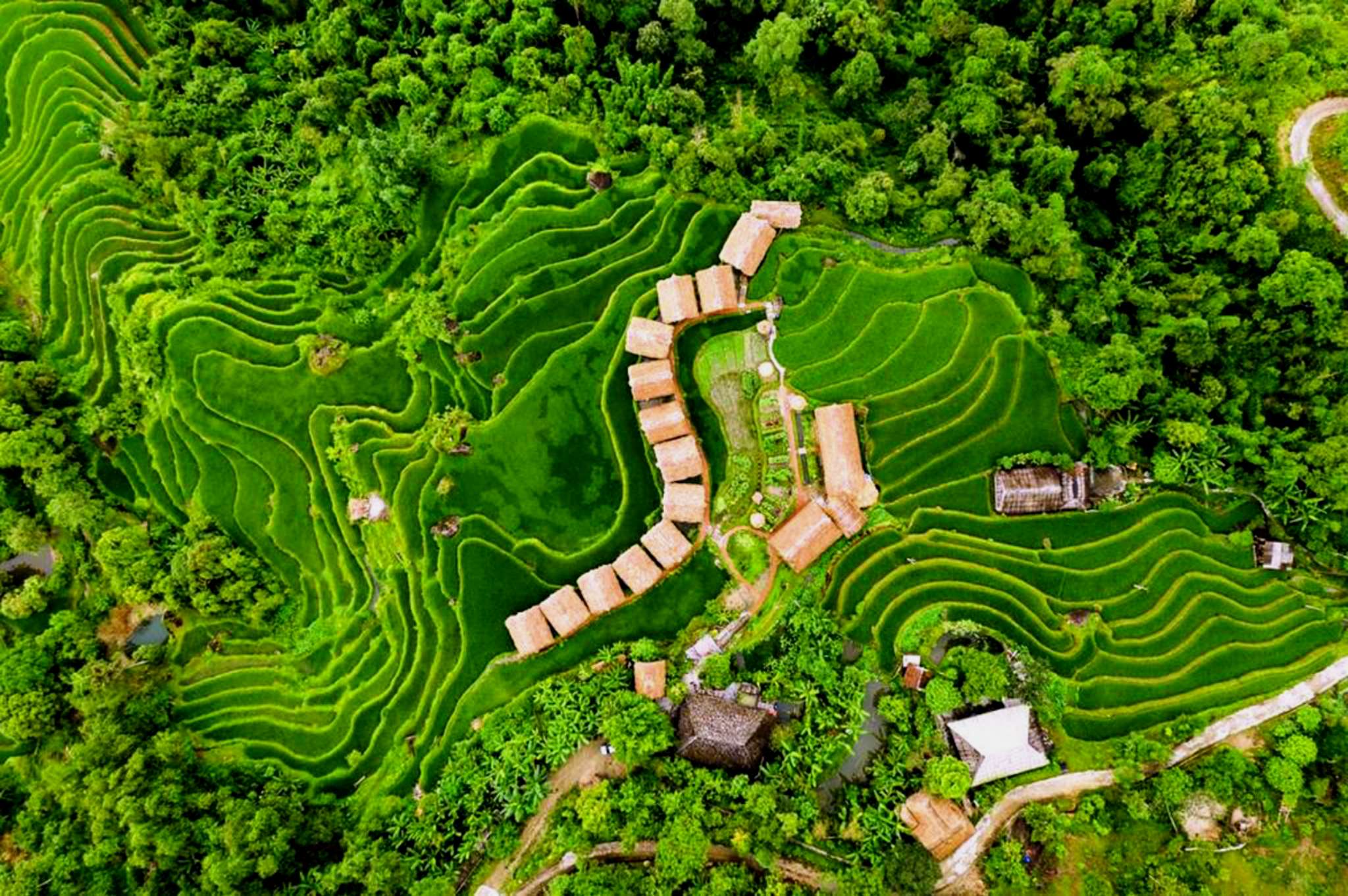 Toàn cảnh Hoàng Su Phì Lodge