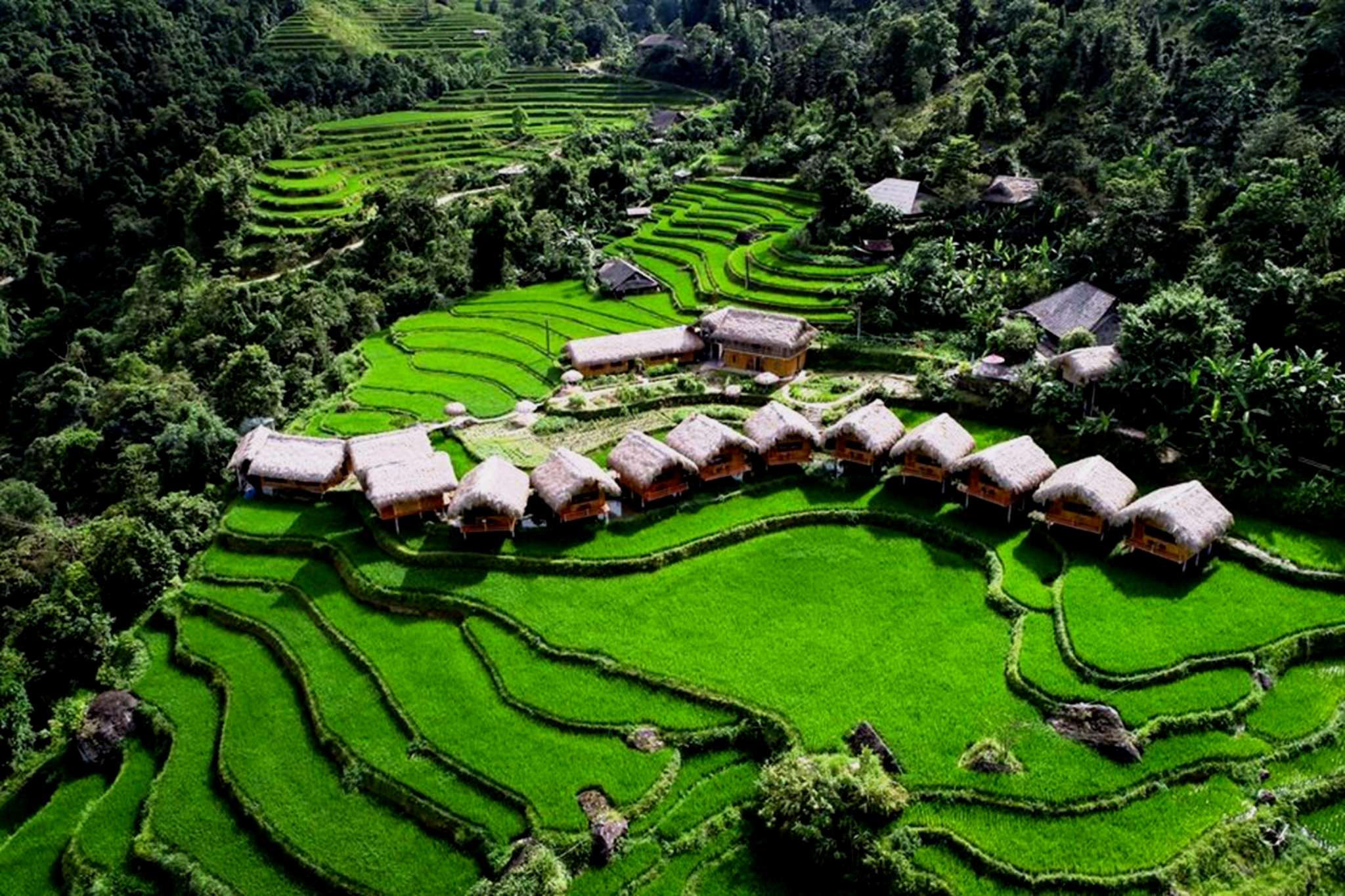 Toàn cảnh Hoàng Su Phì Lodge
