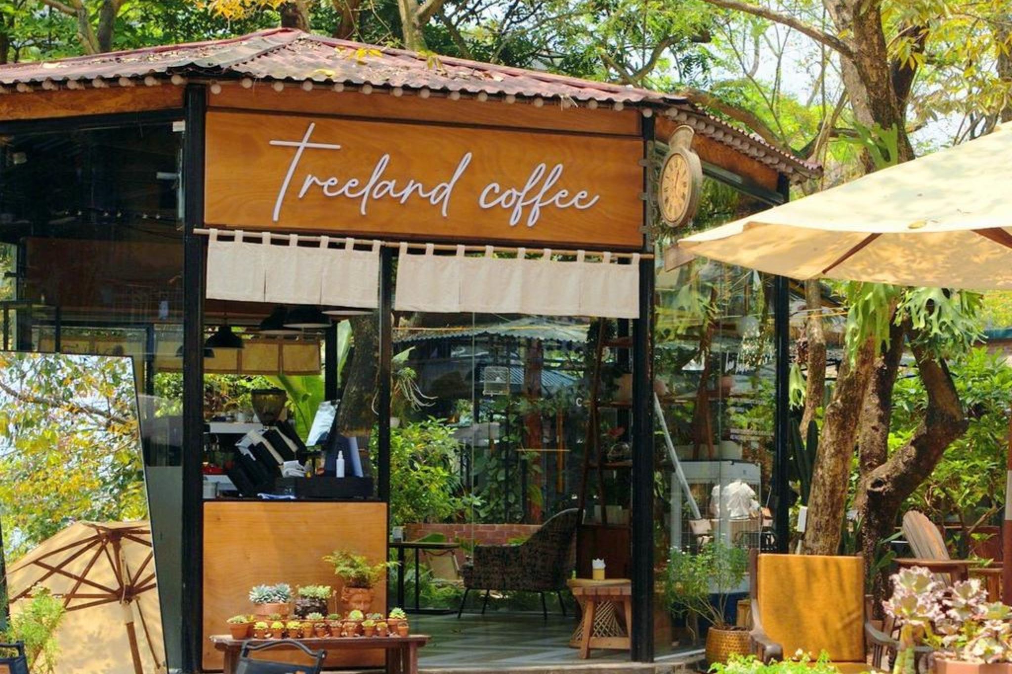 Lưu ý khi thiết kế quán cafe sân vườn 