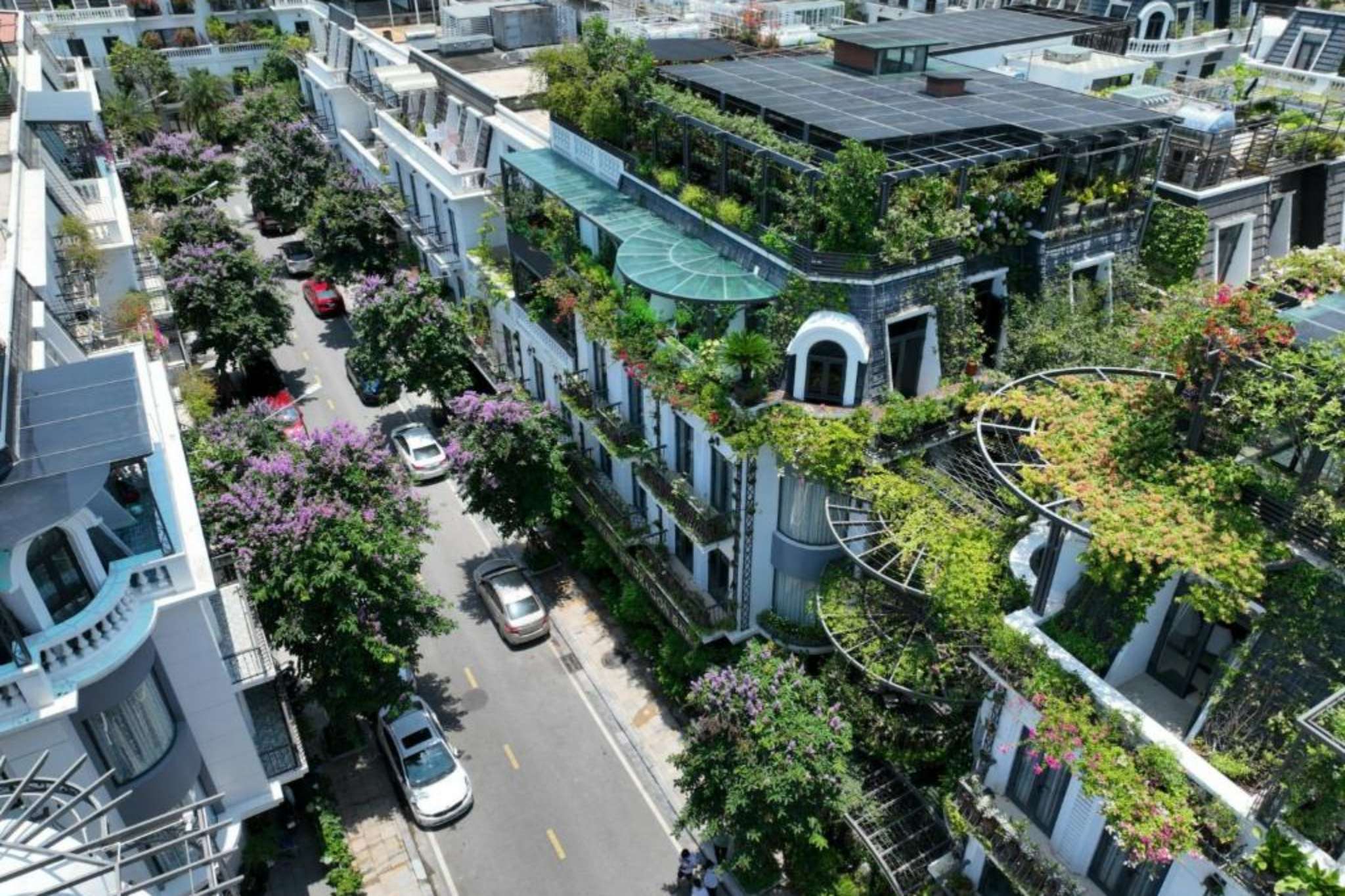 Tổng quan về Paris Of Dragon Bay Hotel