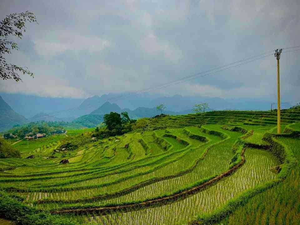 đầu tư Pù Luông BamBoo Thanh Hóa