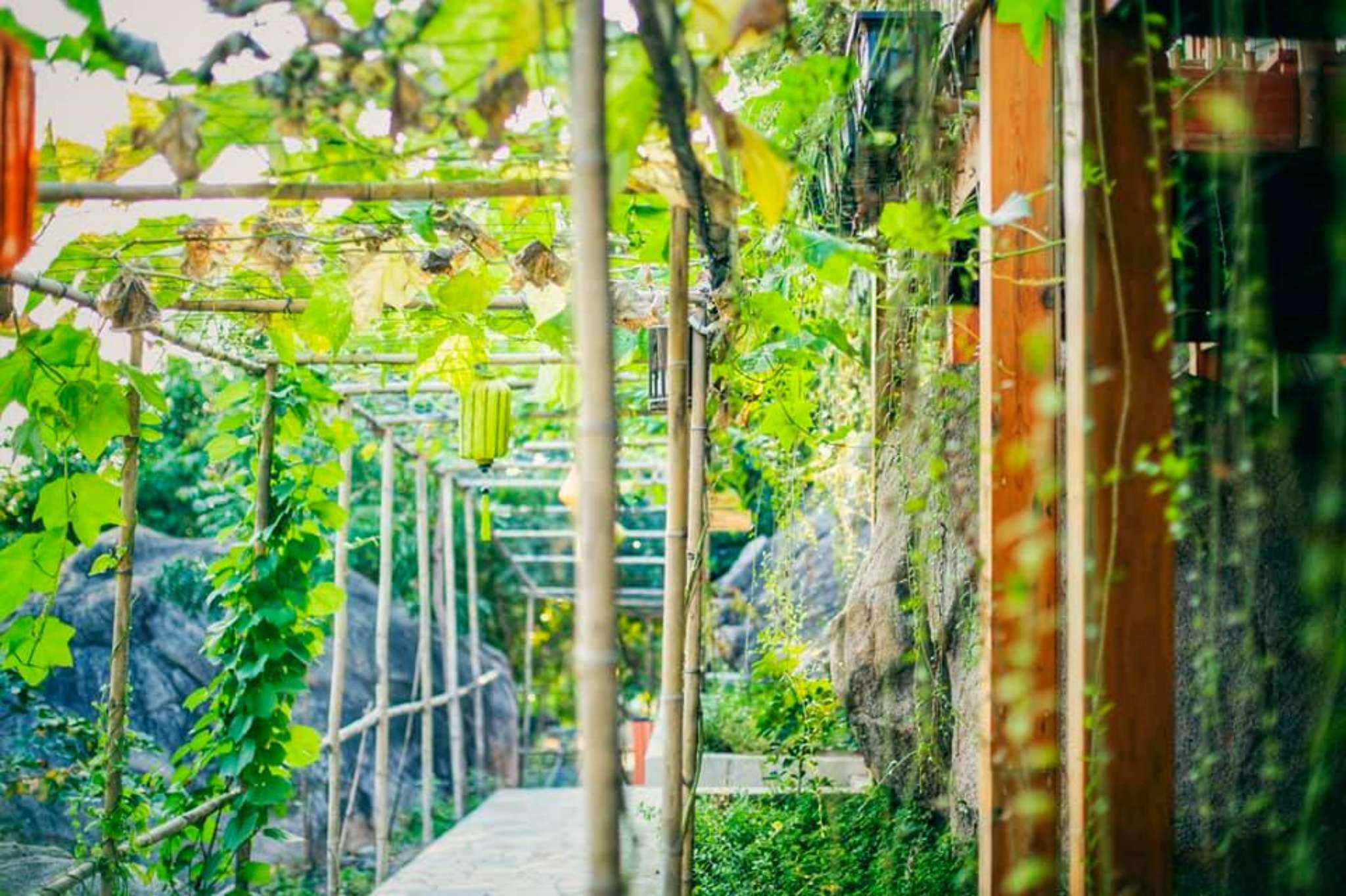 Không gian ngoài trời tại Escalade Experience Cam Ranh