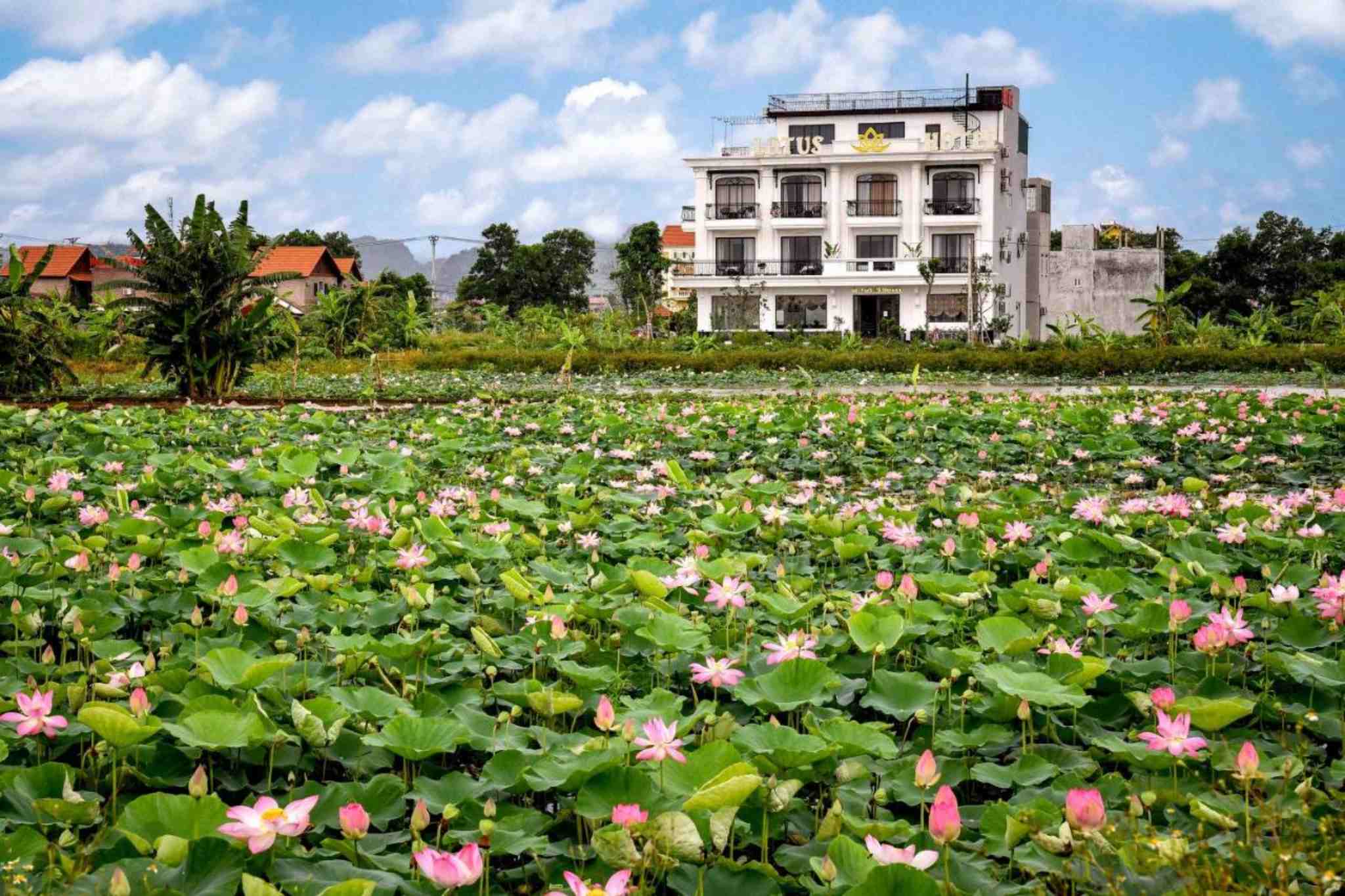 review Lotus Ninh Bình Hotel