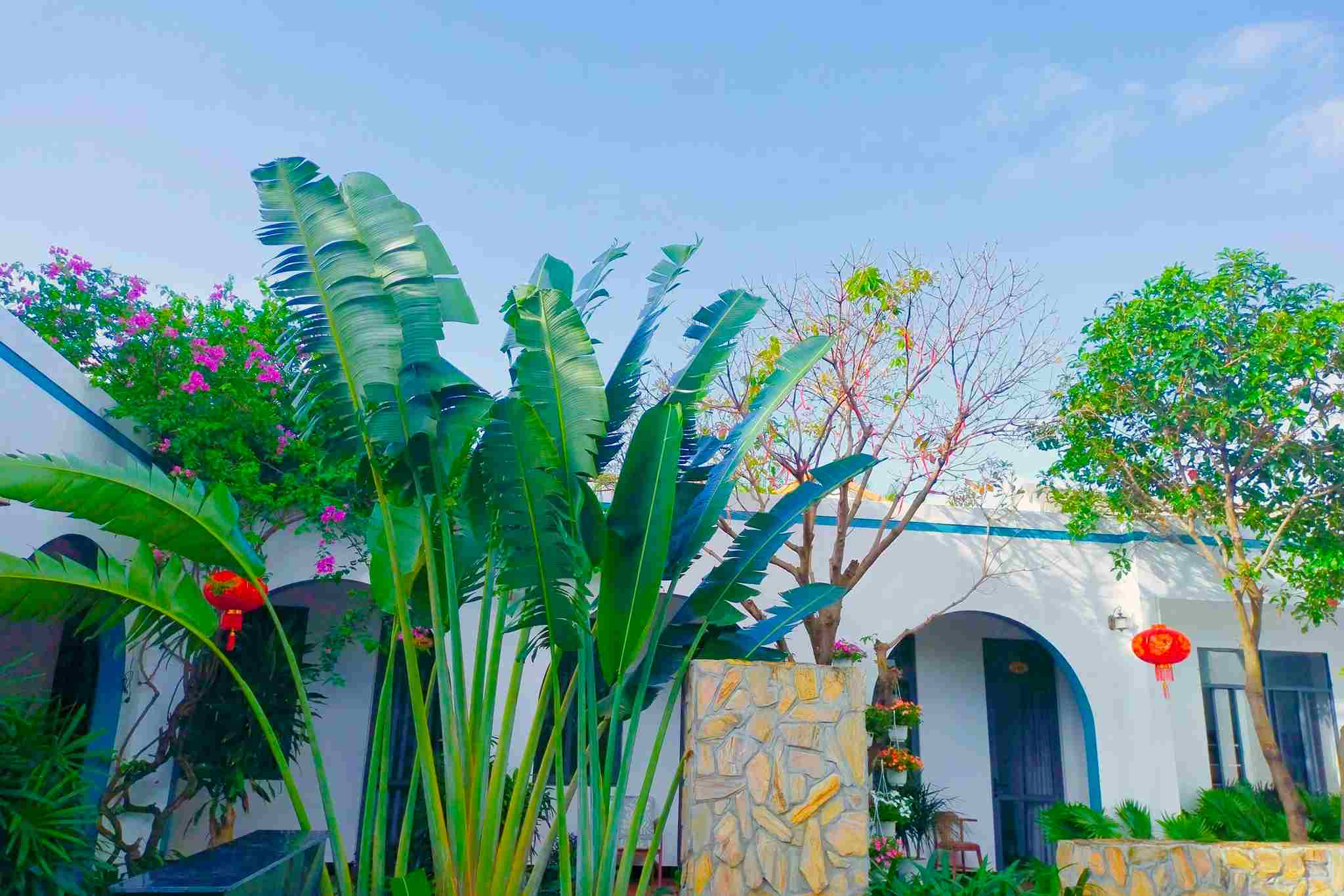 Không gian Tropical homestay Phú Yên