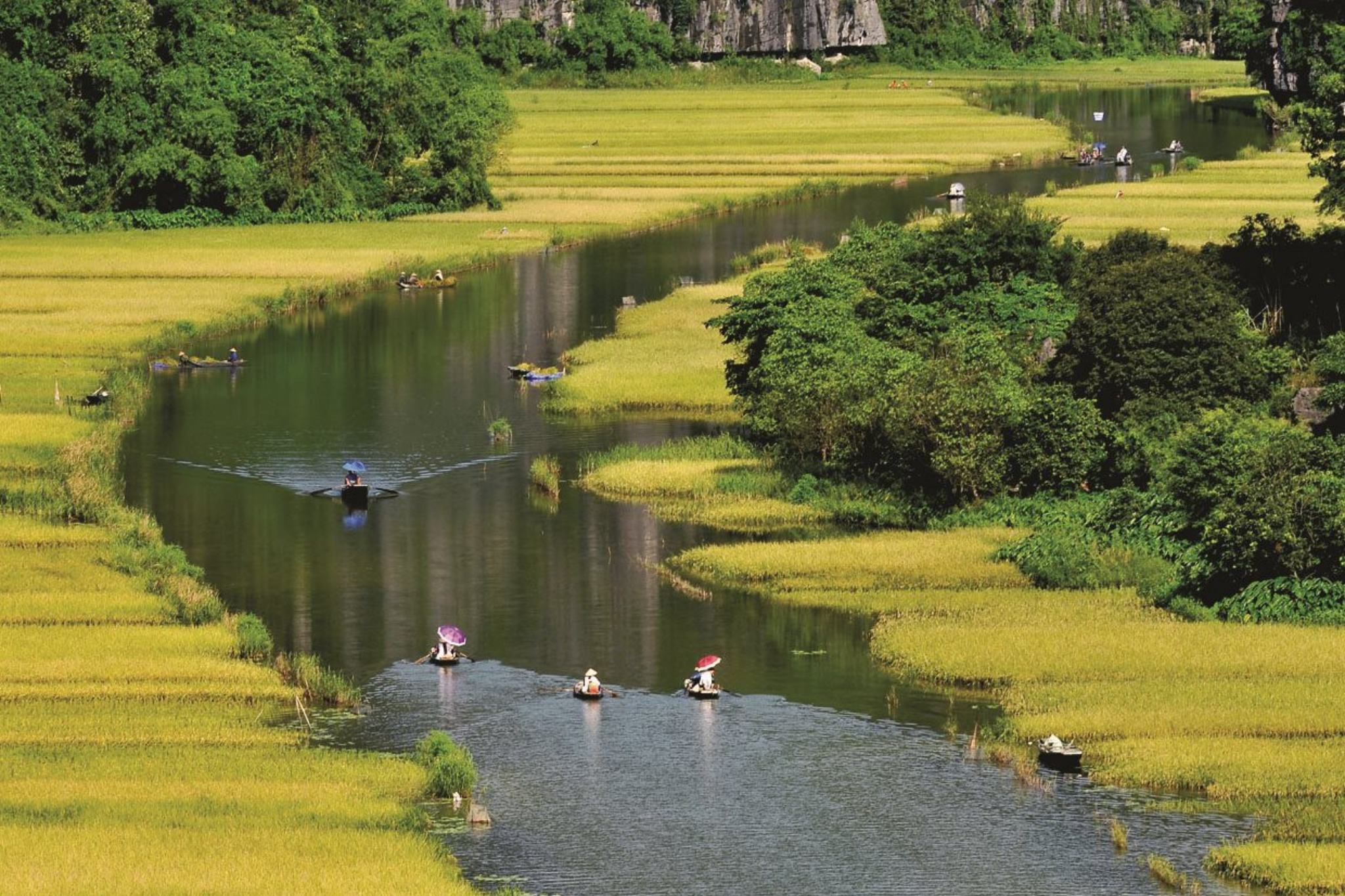 tam cốc Ninh Bình