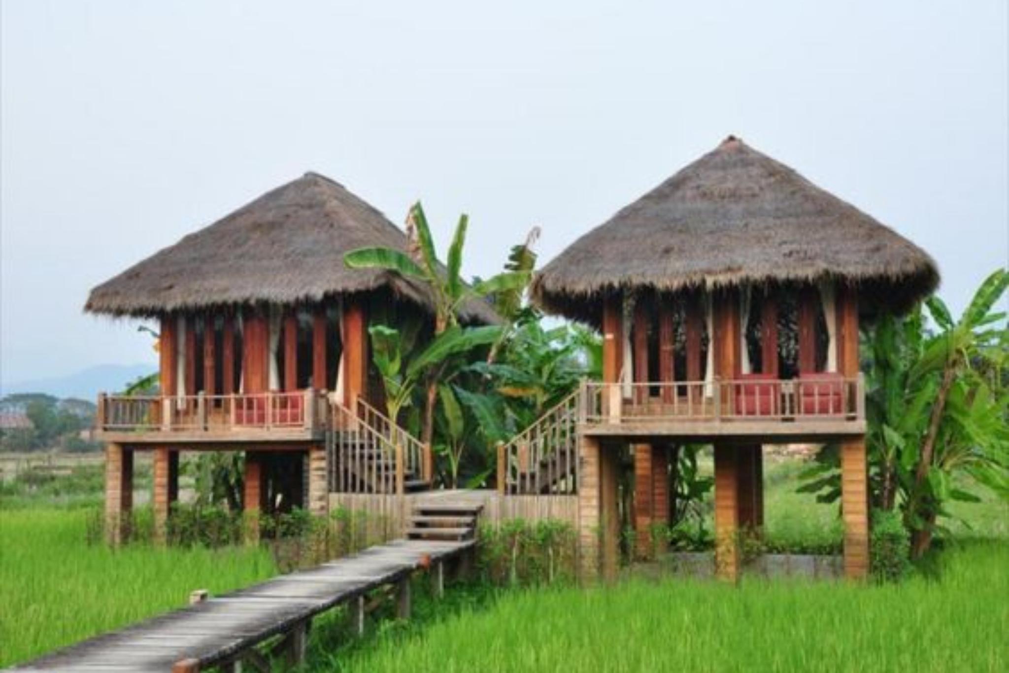 kết hợp thiết kế homestay nhà vườn đẹp