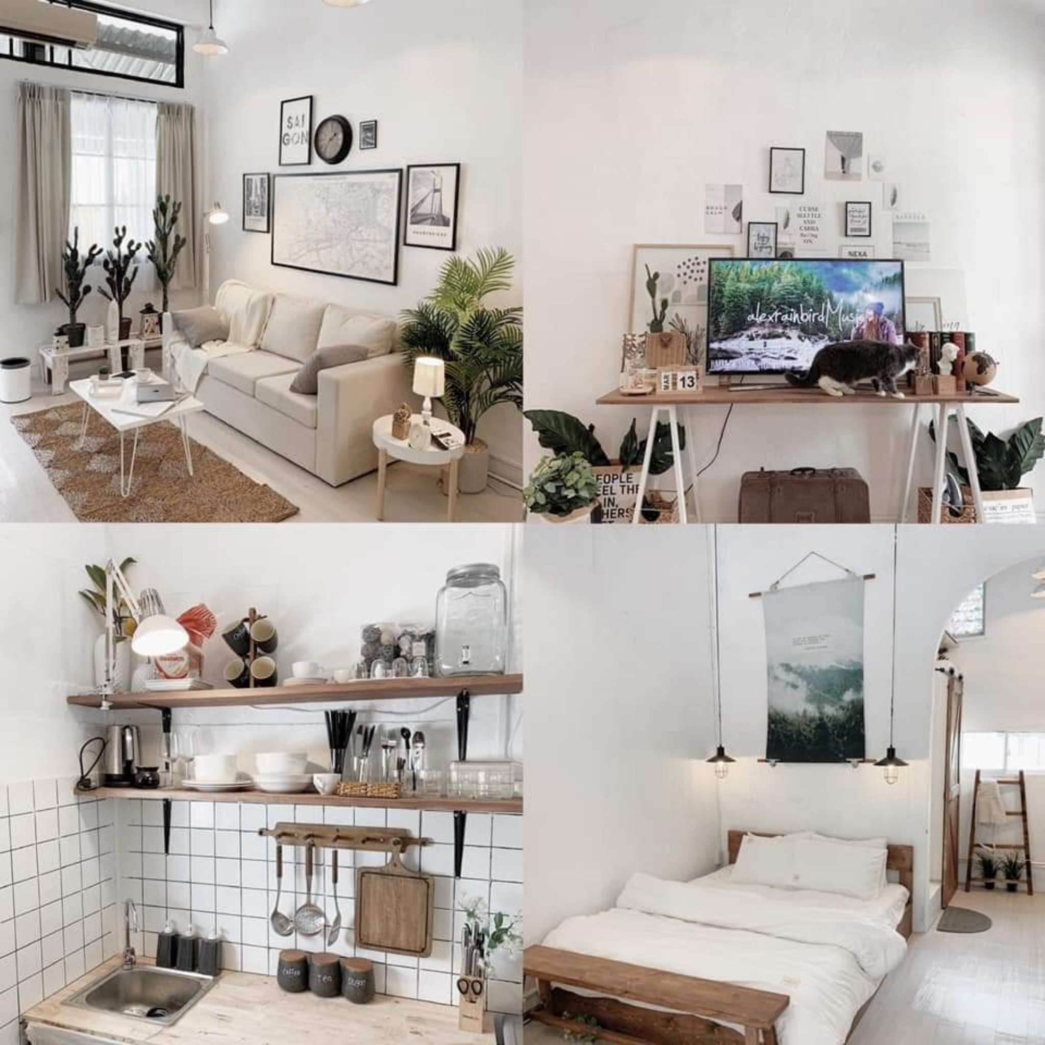 Thiết kế homestay theo phong cách hiện đại