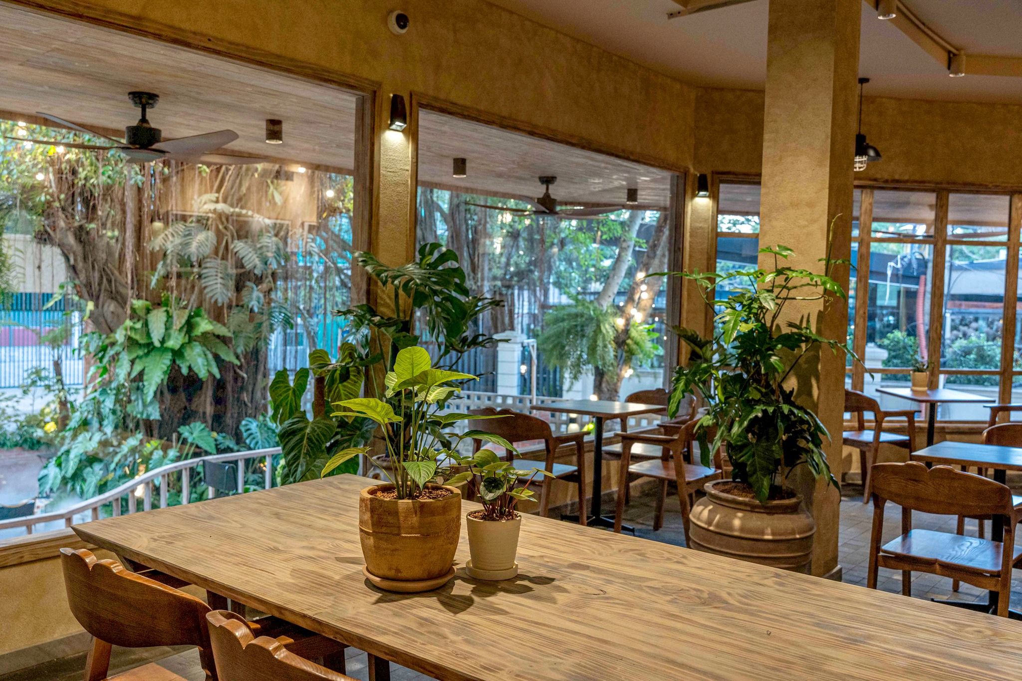 Thiết kế Phê La Xuân Thủy