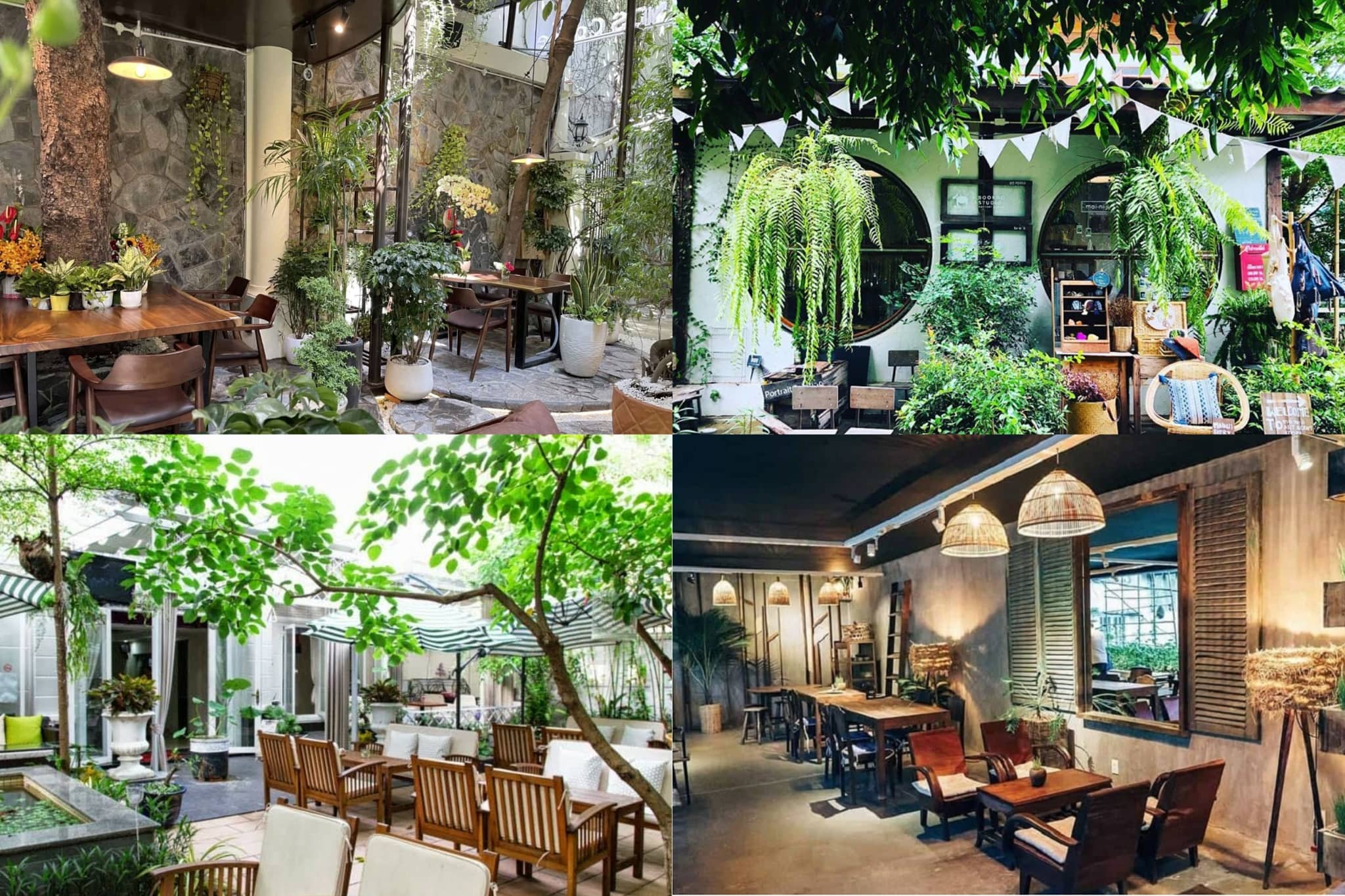 mau-thiet-ke-quan-cafe-san-vuon