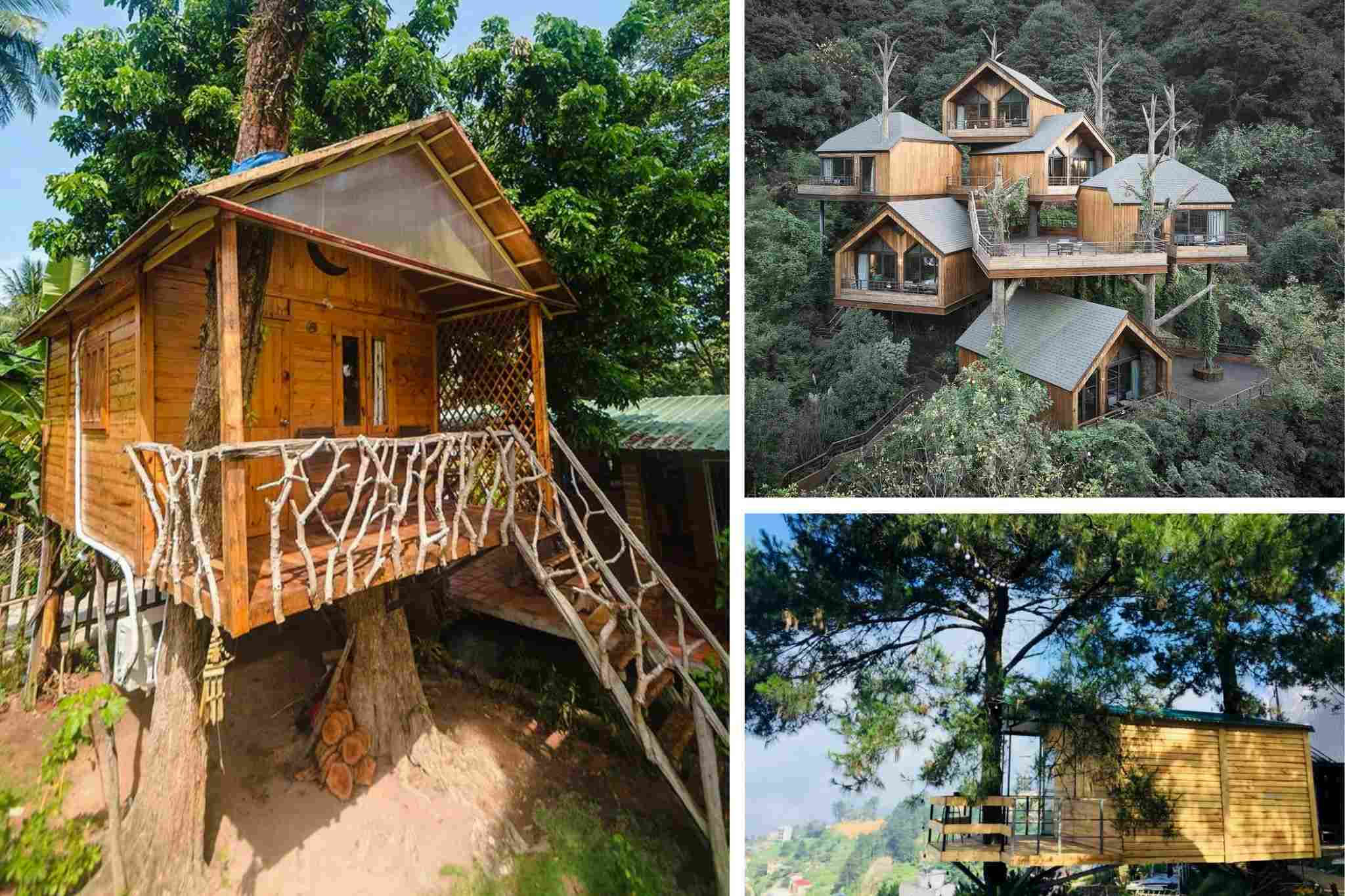 Thiết kế homestay theo kiểu nhà trên cây