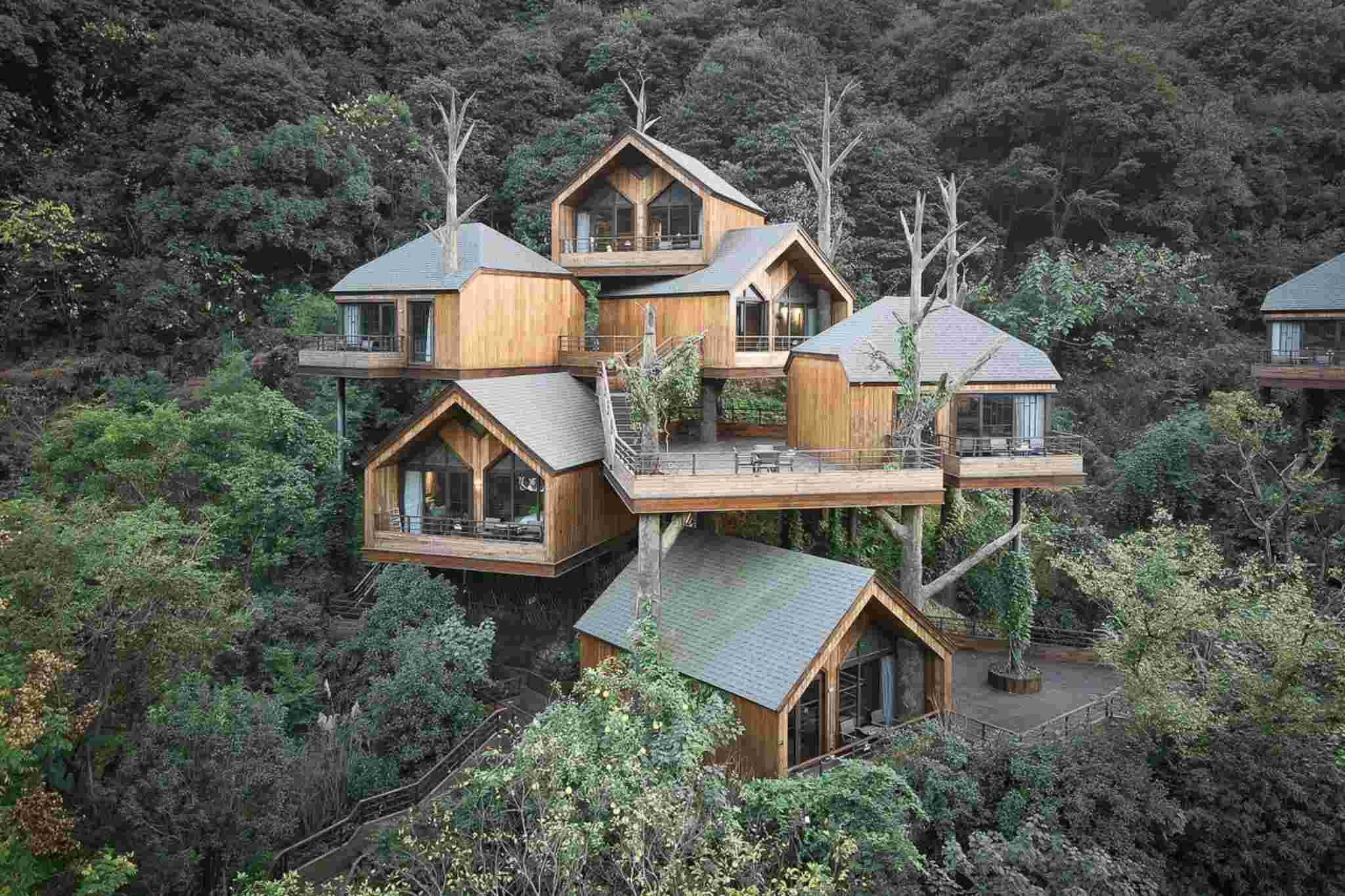 thiết kế homestay nhà vườn kiểu nhà trên cây 